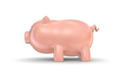Piggy_bank_005
